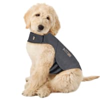 Stress jacket for dogs sale