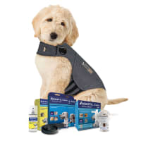 Stress jacket for dogs discount