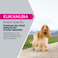 Eukanuba Breed Specific Adult Cocker Pet Supermarket