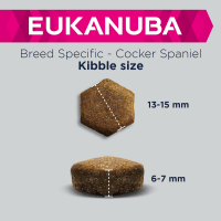 Eukanuba cocker online