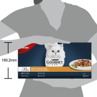 Gourmet cat food 60 pouches hotsell