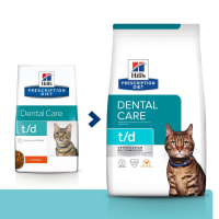 Hills td dental cat 2025