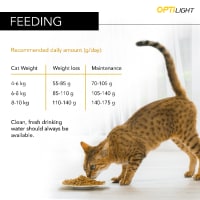 Pro plan light cat food outlet