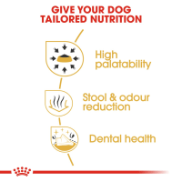 Royal Canin Breed Health Nutrition Pet Supermarket