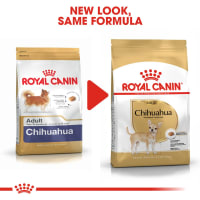Chihuahua puppy royal canin top