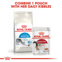 Royal canin indoor top life senior
