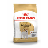Best dog food for jack russells uk deals