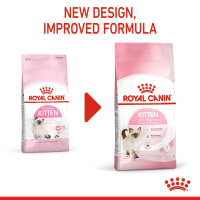 Royal canin kitten feline health nutrition kitten dry food online