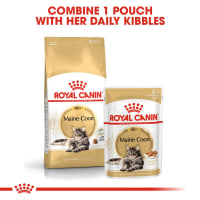 Royal canin maine shop coon adult 10kg