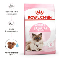 Royal canin babycat best sale food