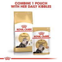 Royal canin cheap persian cat