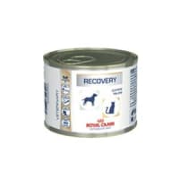 Royal canin cat recovery food top