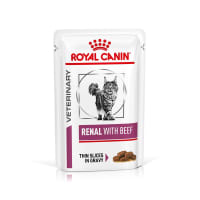 Royal canin renal support canned hot sale cat food