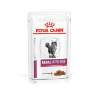 Royal canin renal hot sale support t