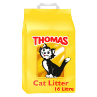 Thomas cat new arrivals litter
