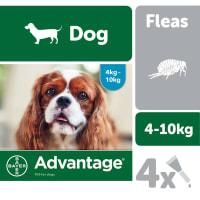 Bayer Advantage Spot On Flea
