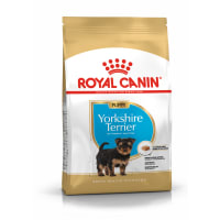 Dog food outlet for yorkies