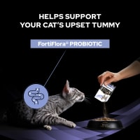 Purina Pro Plan FortiFlora Probiotic Pet Supermarket