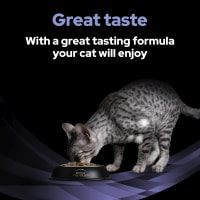 Purina Pro Plan FortiFlora Probiotic Pet Supermarket
