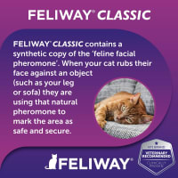 Feliway friends refill cheapest online