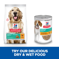 Hill's science diet adult hot sale perfect weight dry dog food