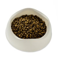 Beco puppy food discount