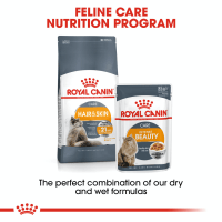 Royal canin intense new arrivals beauty in jelly