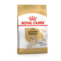 Royal canin breed health nutrition hot sale labrador retriever adult dry dog food