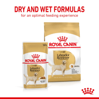 Royal Canin Breed Health Nutrition Pet Supermarket