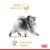 Royal Canin Breed Health Nutrition Pet Supermarket
