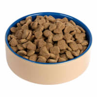 Chappie Complete Adult Dry Dog Food Pet Supermarket