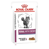 Royal canin renal support cat food canned sales
