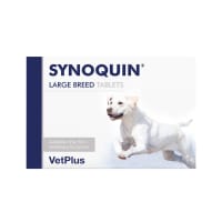 Synoquin puppy shop