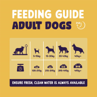 Burgess Sensitive Adult Dry Dog Food Pet Supermarket