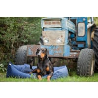 Earthbound rectangular 2025 dog bed