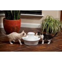 Petsafe drinkwell avalon 2025 pet water fountain