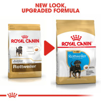Royal Canin Breed Health Nutrition Pet Supermarket