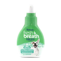 Fresh breath drops 2025