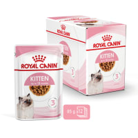 Royal canin shop kitten wet