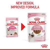 Royal canin kitten clearance how much to feed