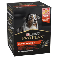 Senior dog multivitamin cheap