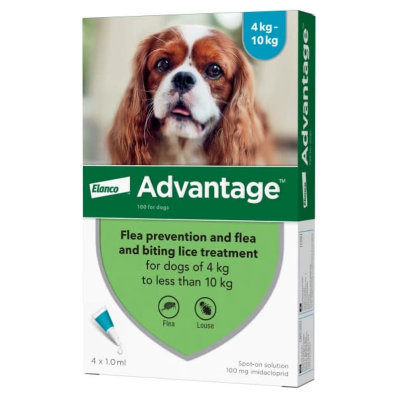 Cheap but effective flea treatment for dogs online