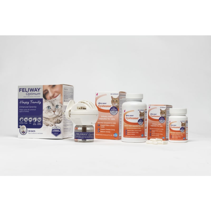 Feliway shop cystease capsules