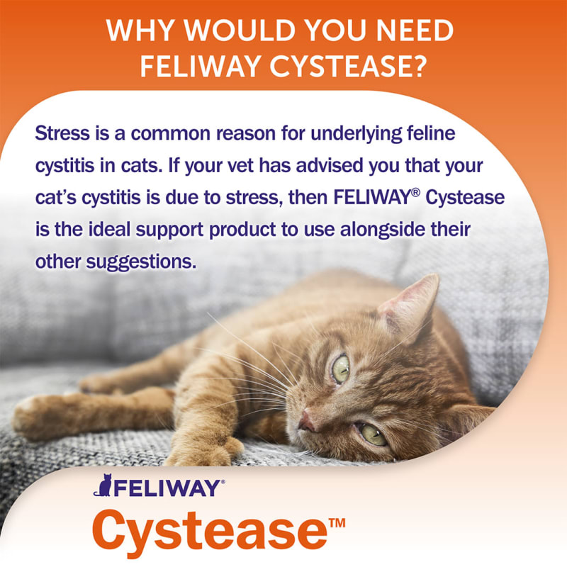 Feliway Cystease Advanced Urinary Pet Supermarket