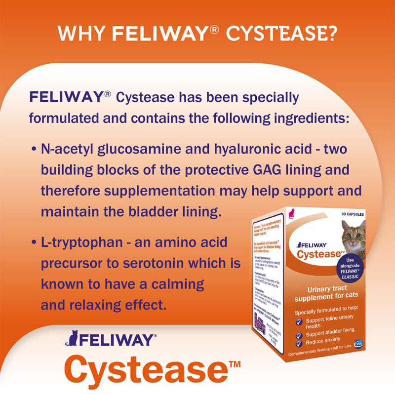 Feliway cystease shop capsules