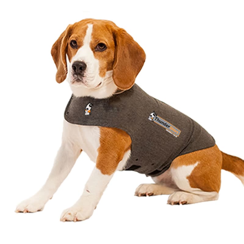 Pets at home thundershirt sale