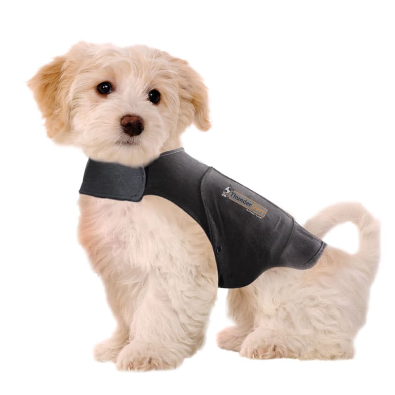 Calming jackets for dogs hotsell