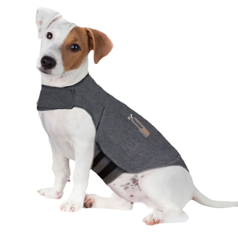 Dog coats pet anxiety new arrivals shirt