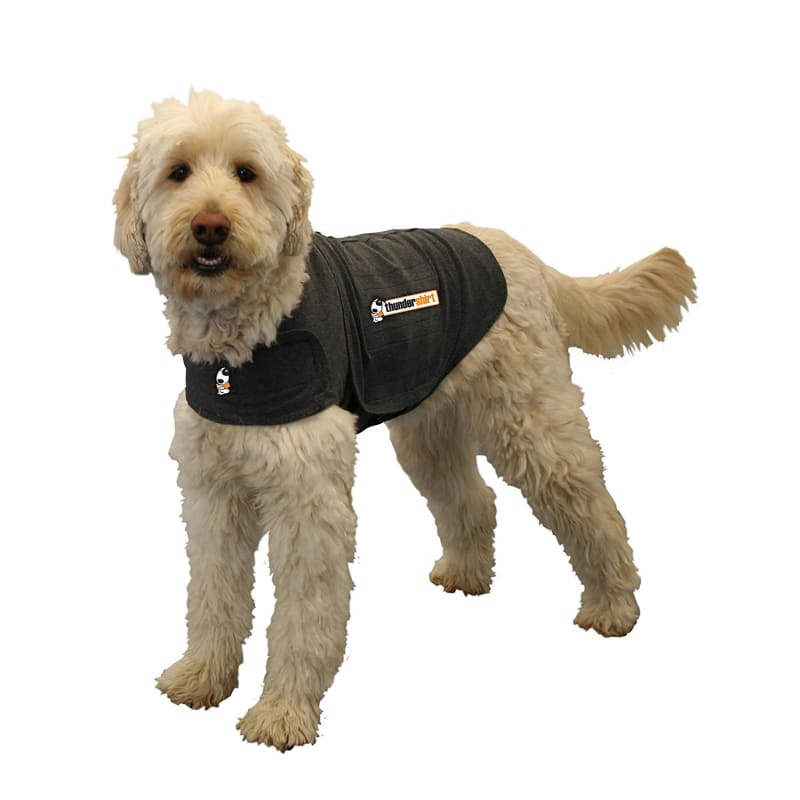 Puppy hotsell anxiety vest