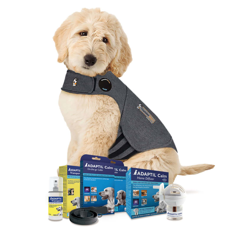 Thundershirt new arrivals for dogs